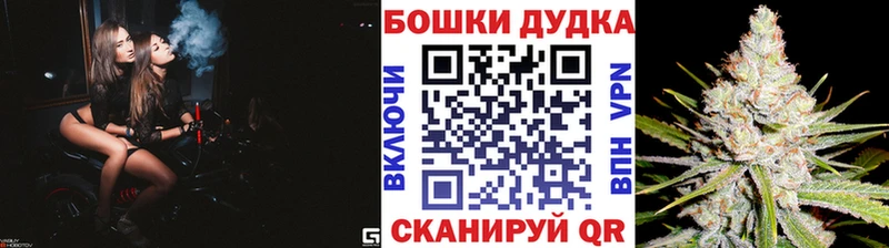 МАРИХУАНА SATIVA & INDICA  где купить наркоту  мега ссылка  Приморск 